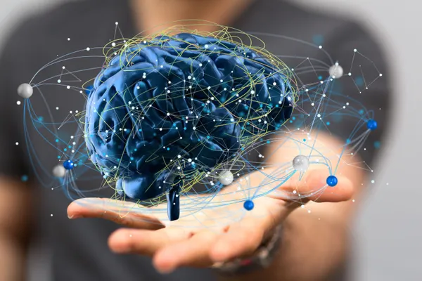 Human-in-the-Loop AI